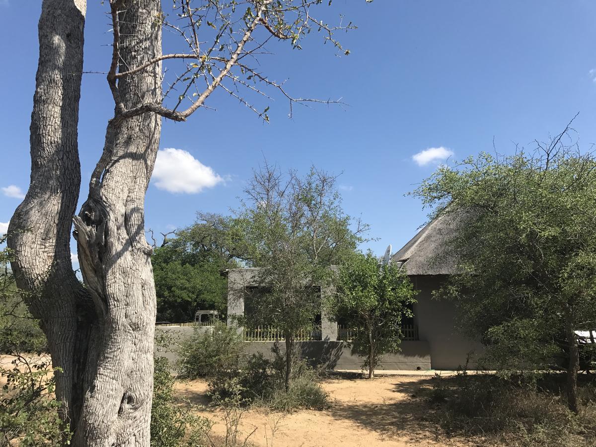 Leadwood Lodge Hoedspruit Exterior photo